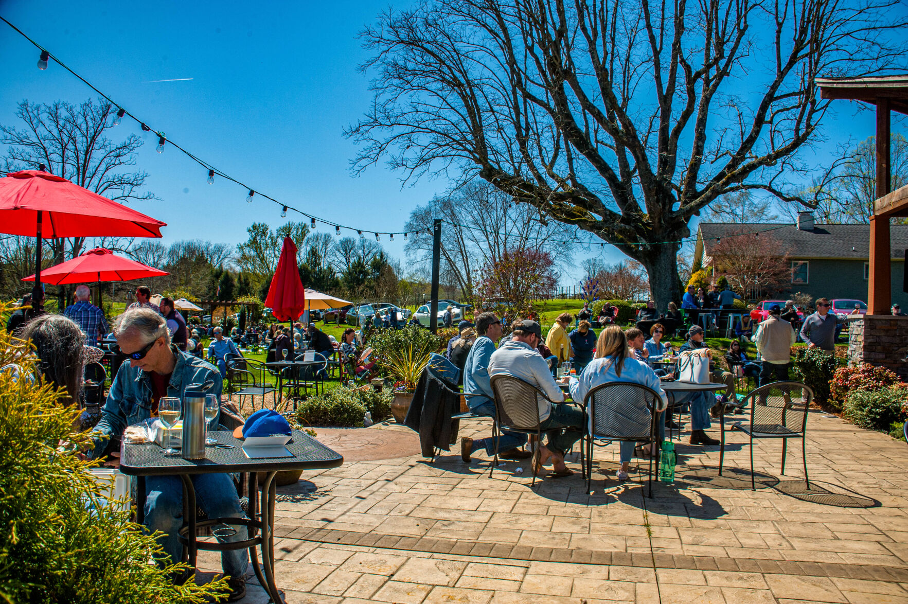 20210403-LEE_1779-Edit.jpg